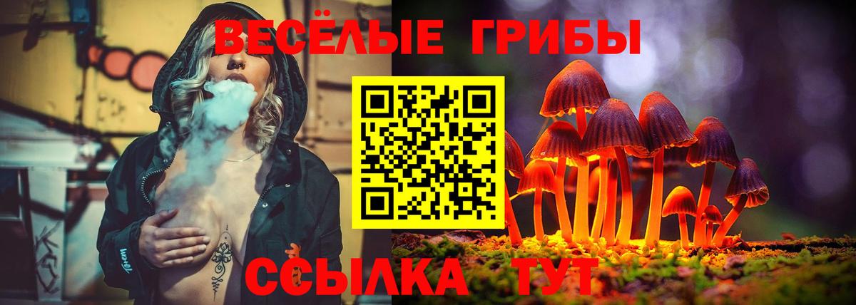 Псилоцибиновые грибы Cubensis  где можно купить наркотик  Воскресенск  Псилоцибиновые грибы Cubensis  Вход с VPN 
